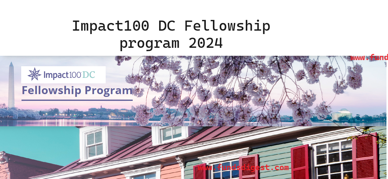 Impact100 DC Fellowship program