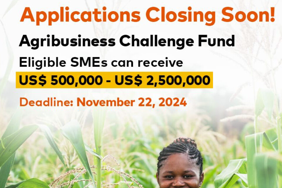 The Mastercard Foundation Fund for Resilience and Prosperity: Agribusiness Challenge Fund