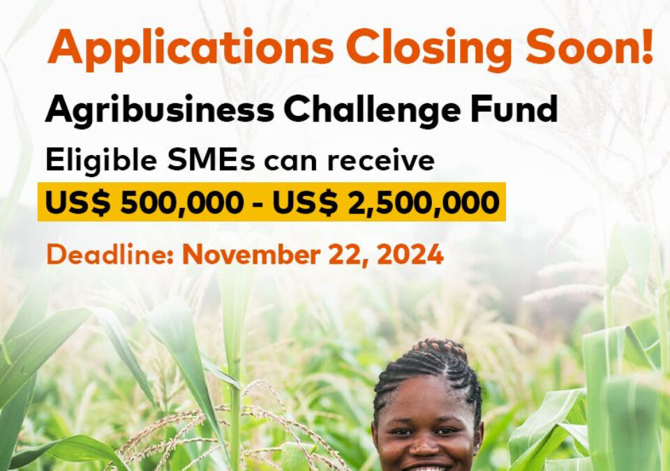 The Mastercard Foundation Fund for Resilience and Prosperity: Agribusiness Challenge Fund