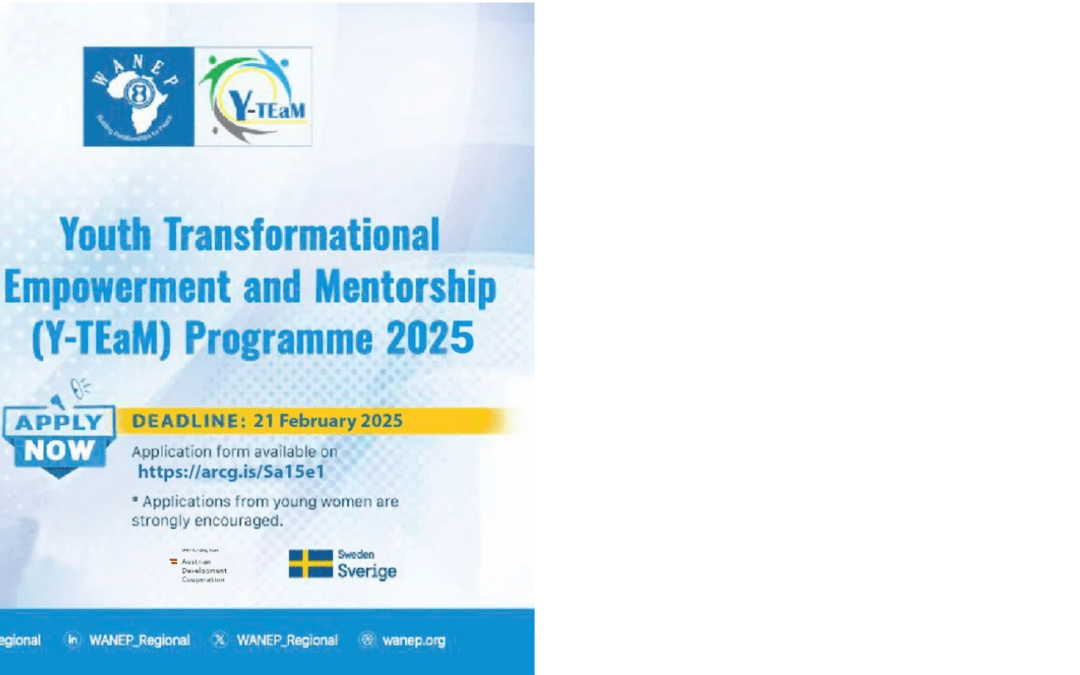 Apply for the Y-TEaM Programme 2025