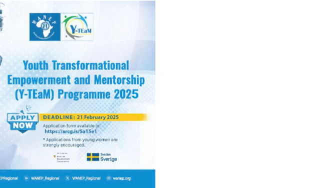 Apply for the Y-TEaM Programme 2025