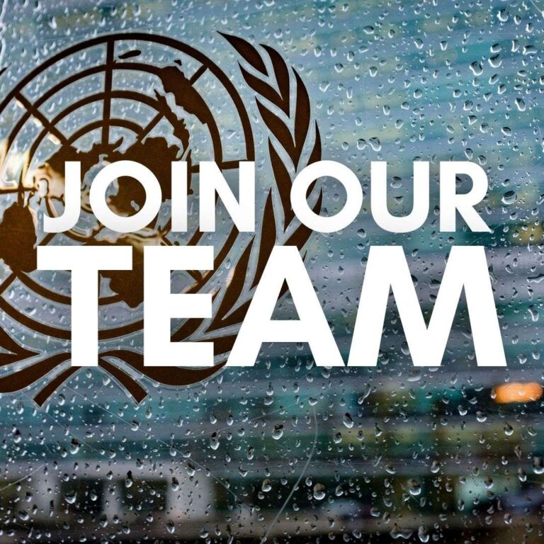 UNIDIR Two Graduate Professionals (Security & Technology Programme) — Geneva or Remote (Two Graduate Professionals, Paid, 6 Months)