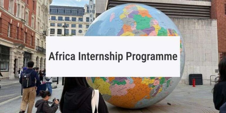The Africa Internship Programme