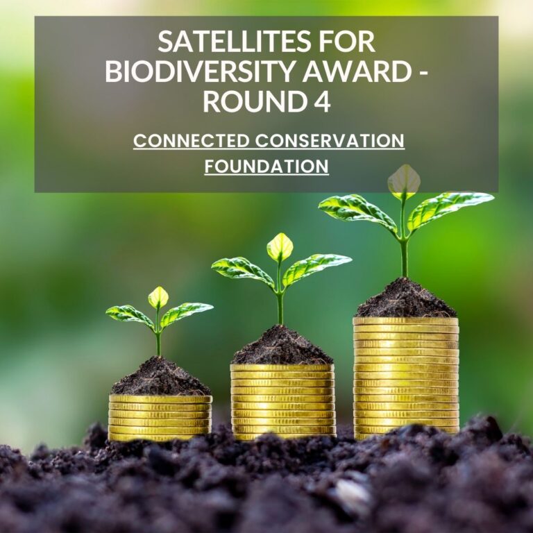 Satellites for Biodiversity Award Round 4: Apply for Funding, Satellite Data, and GeoAI Support