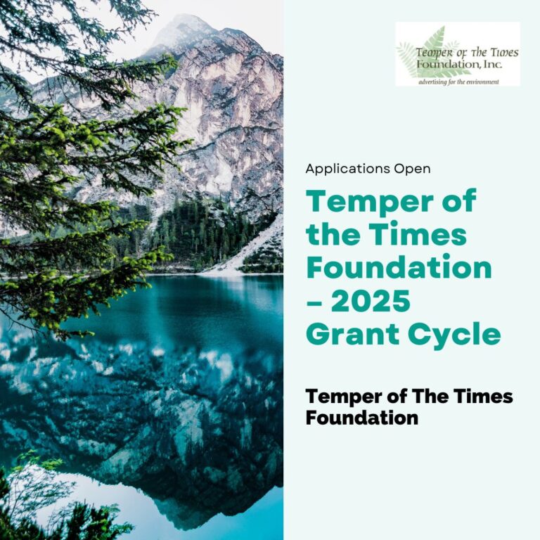 Ultimate Guide to Winning the Temper of the Times Foundation Grant 2025