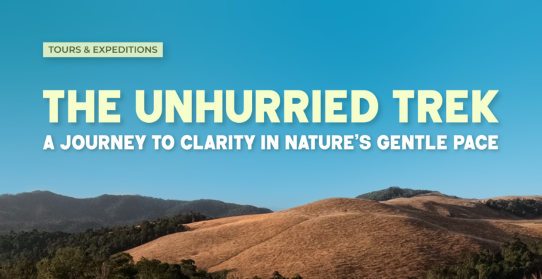 The Unhurried Trek: A Journey to Clarity in Nature’s Gentle Pace
