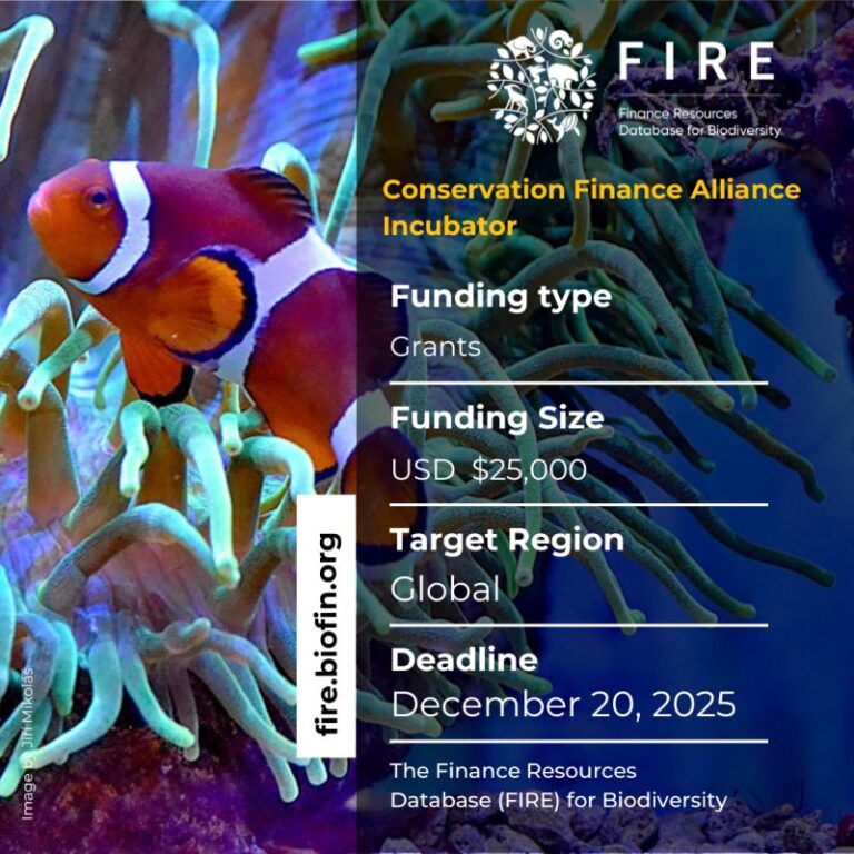 Open Call – Conservation Finance Alliance (CFA) Incubator – Round 4