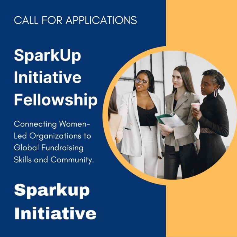 SparkUp Initiative Fellowship 2025: Capacity-Building Program for Women-Led Organizations